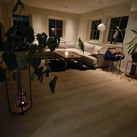 Modum Villa