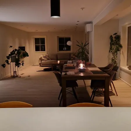Villa Modum Skreppen