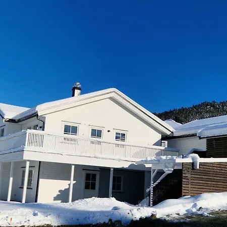 Villa Modum Skreppen