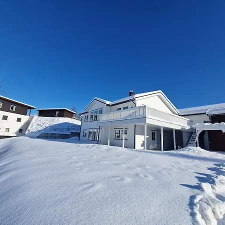 Modum Villa Skreppen